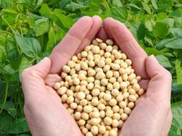 2026 Summer Soybean Institute (Image source: UNL Department of Agronomy and Horticulture)