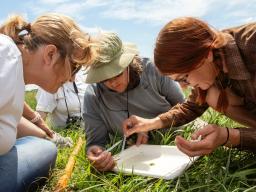 The Wetland Educator Field School, presented by Nebraska Game and Parks, is a free two-day immersive educator workshop in the Niobrara Valley Preserve near Johnstown, Nebraska.