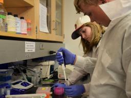 Science summer camps for middle and high school students (Image source: Young Nebraska Scientists)