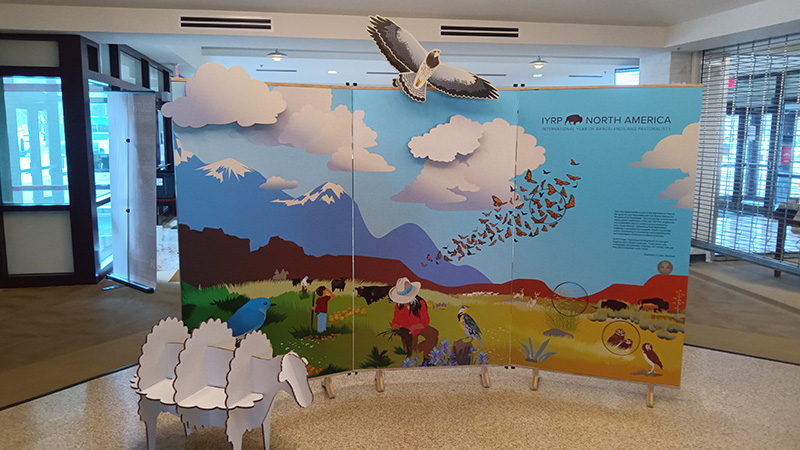 International Year of Rangelands & Pastoralists Display