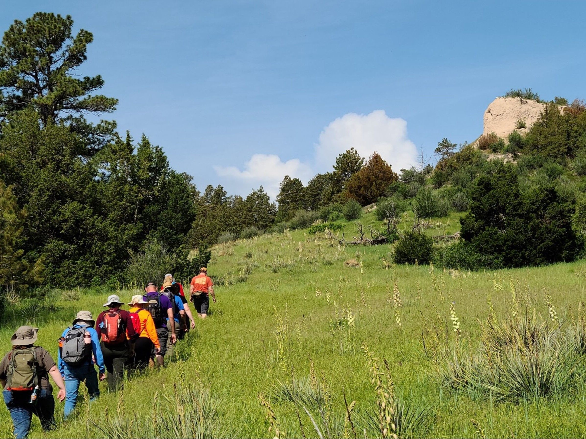 GeoNet is currently recruiting for Cohort 2.