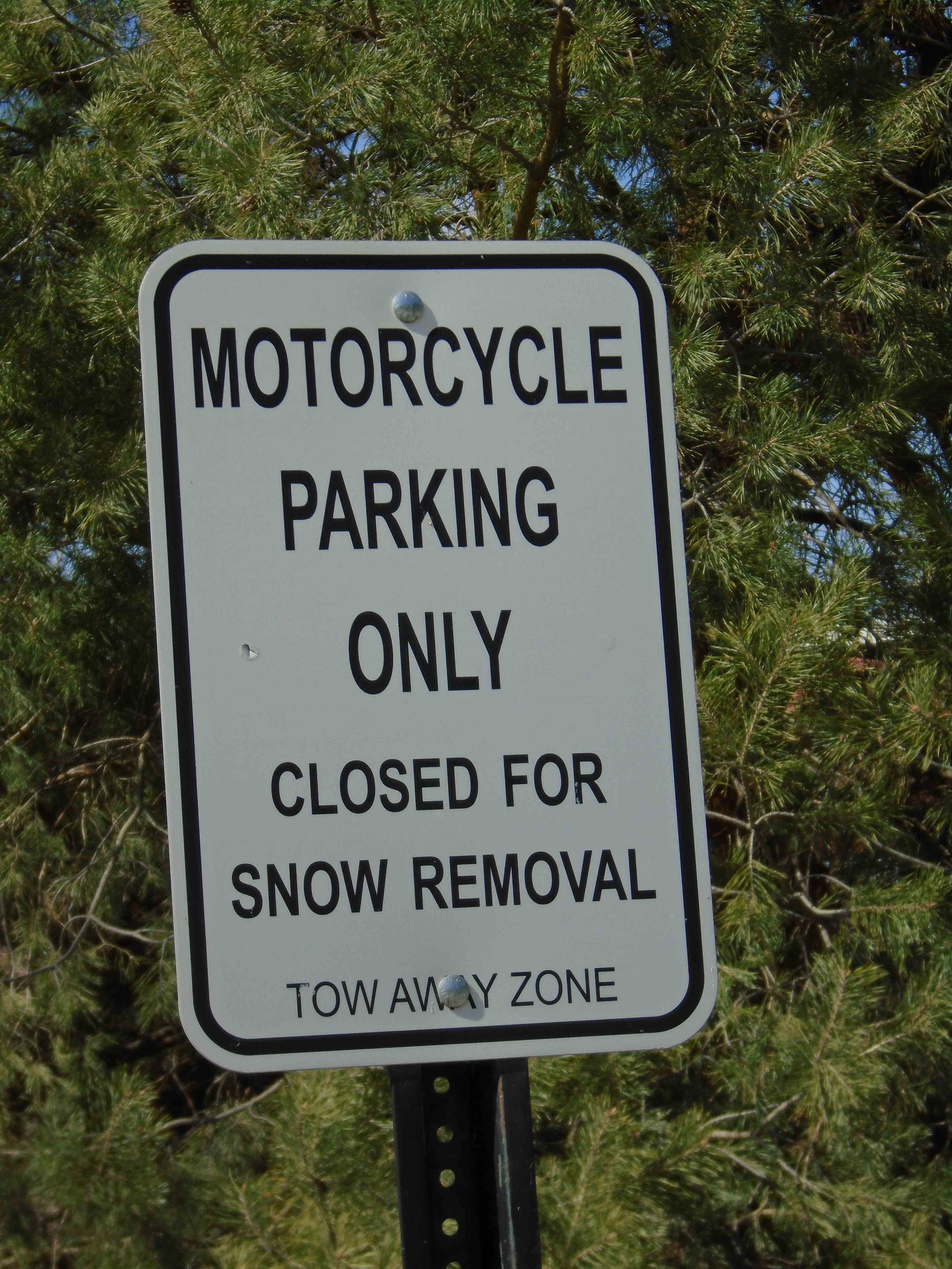 DSC00156 mtcy red.JPG