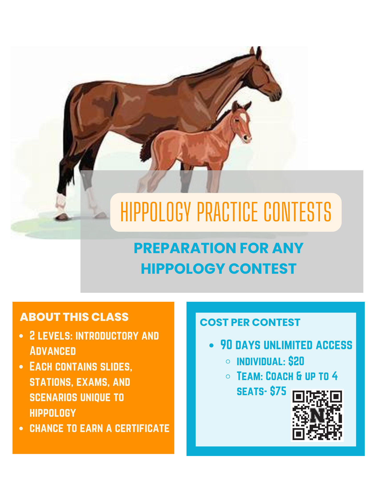 Hippology Practice Contests: Preparation for any Hippology Contest