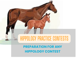 hippology practice contests(1).png