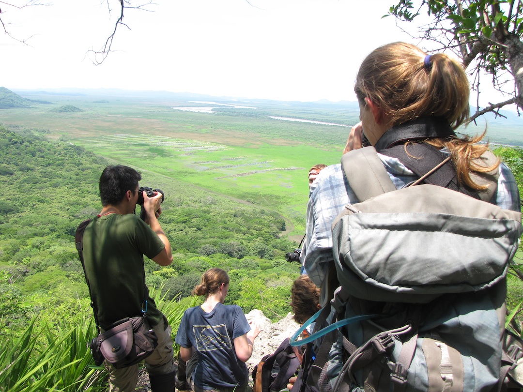 Students of the Tropical Plant Systematics course are pictured observing the marshlands at Palo Verde National Park in Costa Rica in June.