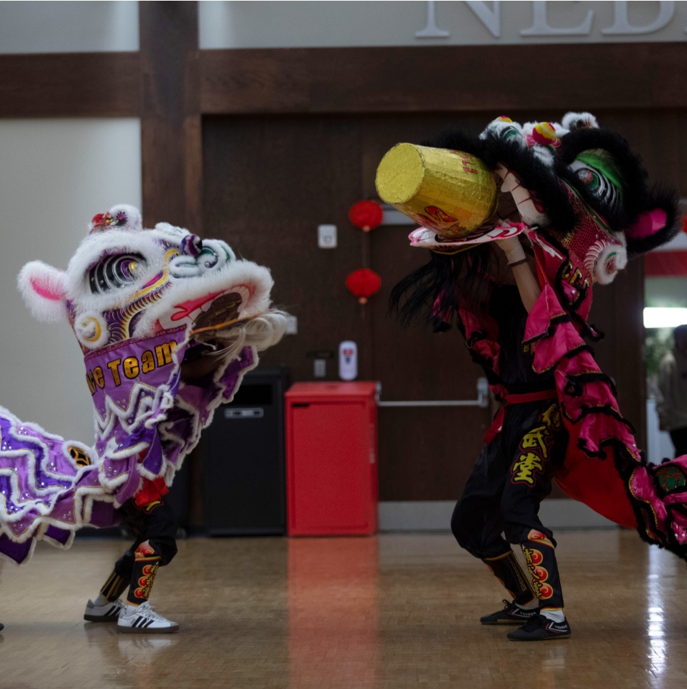 Cultural performance from Lunar New Year