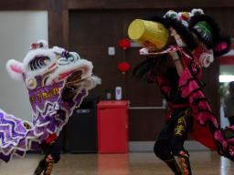 Cultural performance from Lunar New Year