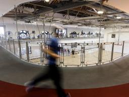 Craig Chandler | University Communication 