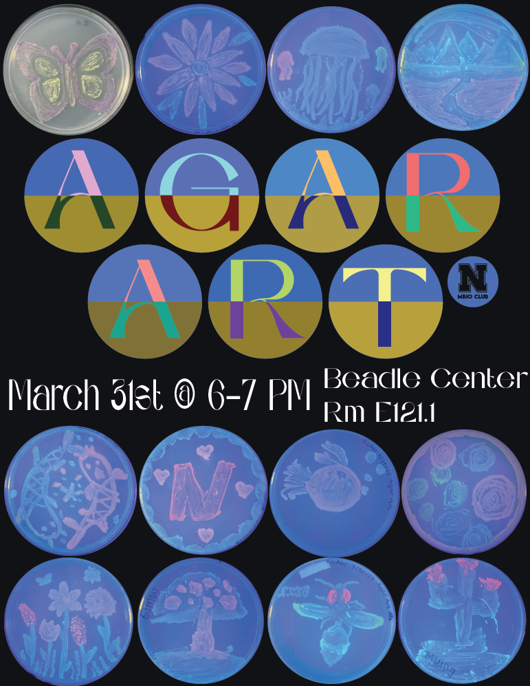 Agar Art - Tuesday, March 31 Rm E121.1 from 6 - 7pm