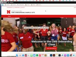 Screenshot of CMS training on Zoom