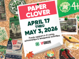 Paper Clover, April 17 - May 3, 2026