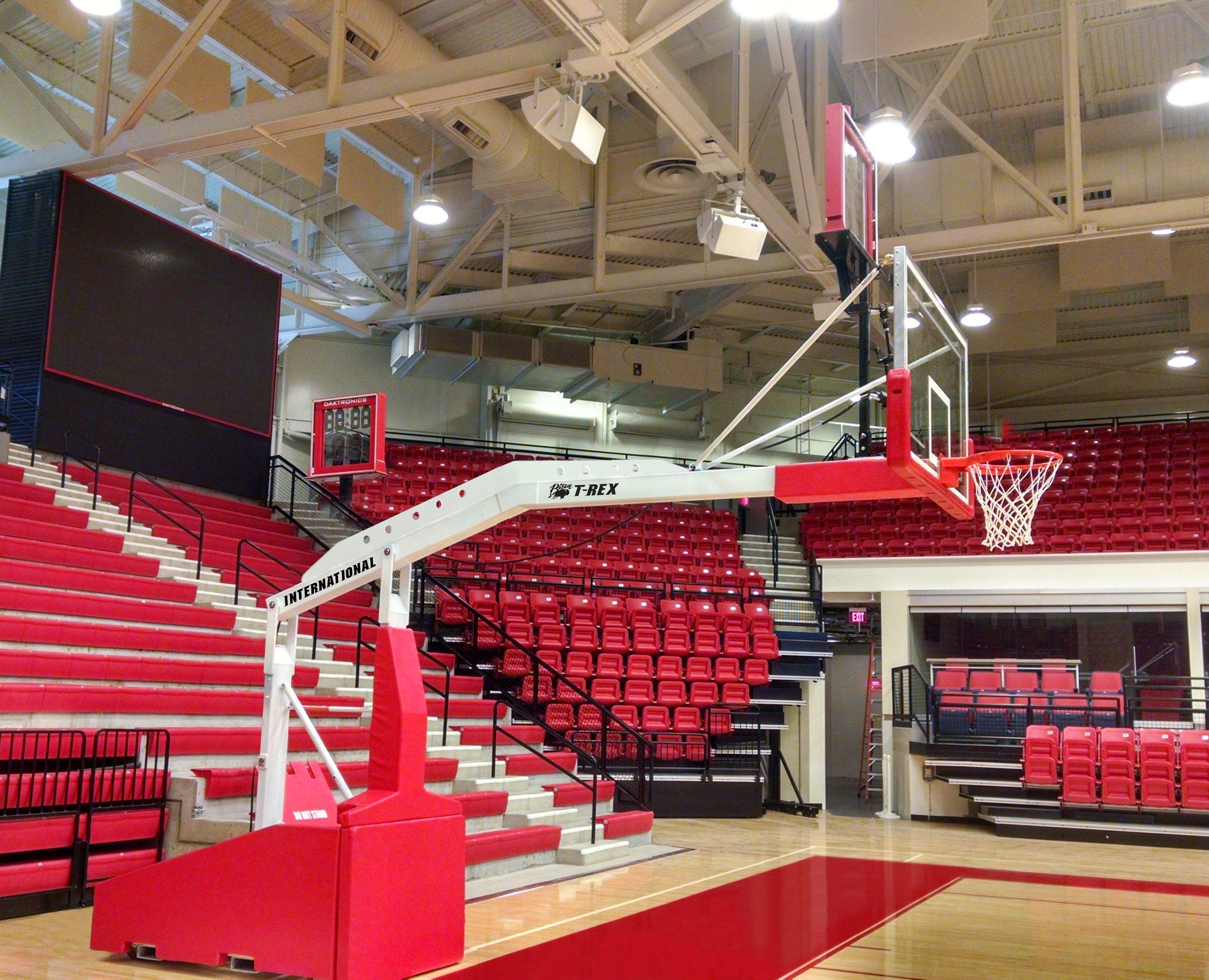 Bison's T-rex basketball system