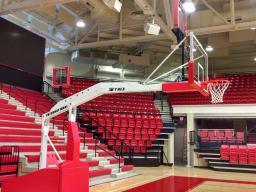 Bison's T-rex basketball system