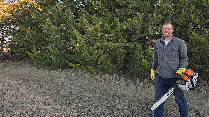 Andrew Zahn fells a dying green ash tree at Horning State Farm in March 2026.
