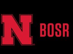 BOSR Survey Research Interns Flyer