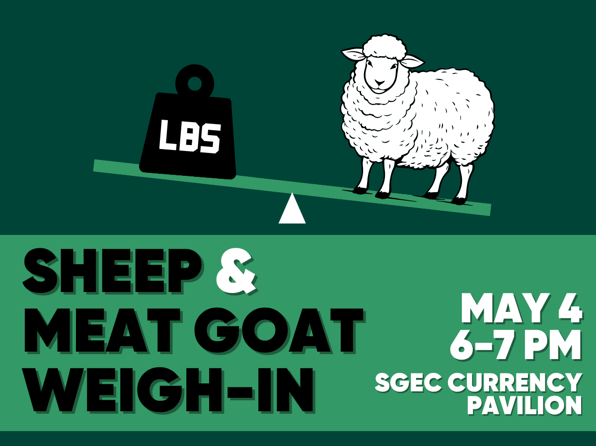 Sheep & Meat Goat Weigh-In, May 4, 6&ndash;7 p.m. in SGEC Currency Pavilion