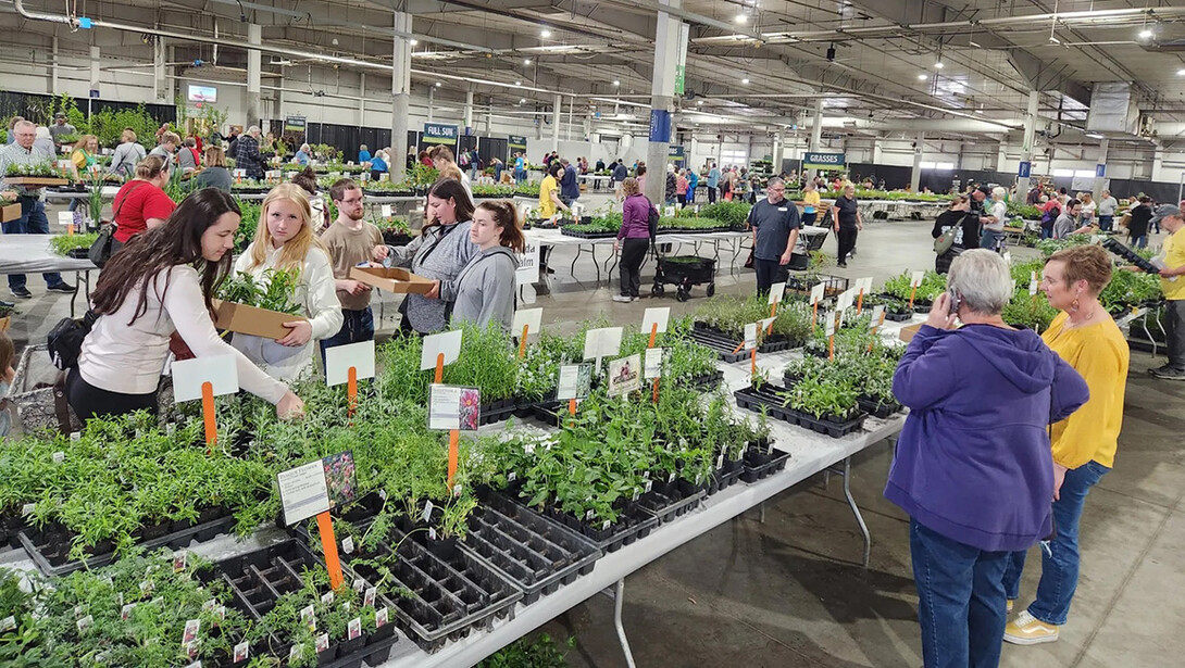 Shoppers mill about plants available for purchase during the Spring Affair Plant Sale at the Sandhill Global Events Center.