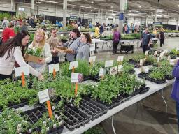 Shoppers mill about plants available for purchase during the Spring Affair Plant Sale at the Sandhill Global Events Center.