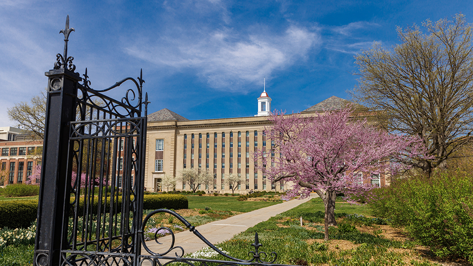 Exterior view of Love Library and the adjoining gardens during spring. 