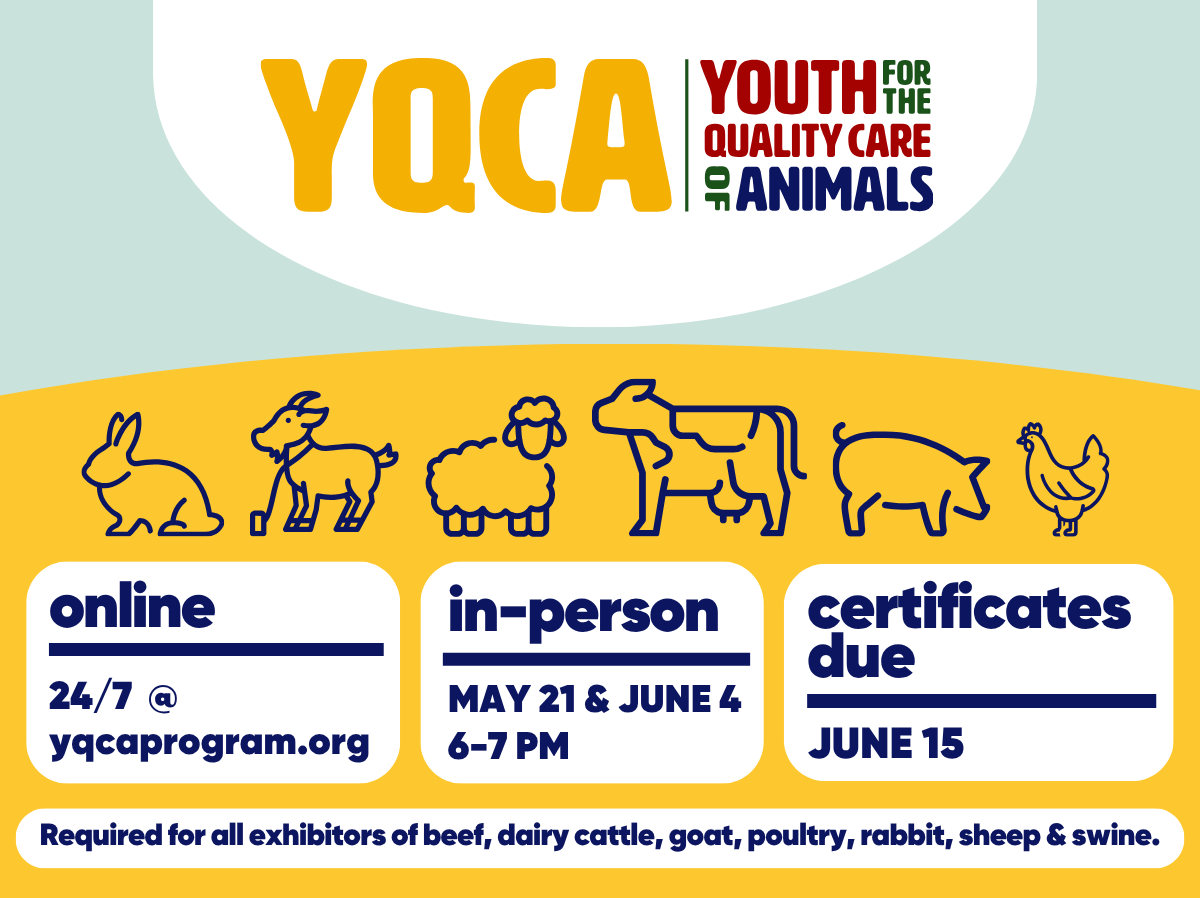 Youth for the Quality Care of Animals (YQCA) online 24/7; in-person May 21 & June 4; certificates due June 15
