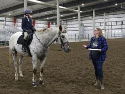 A Lancaster County 4-H horsemanship advancement level testing in 2025 
