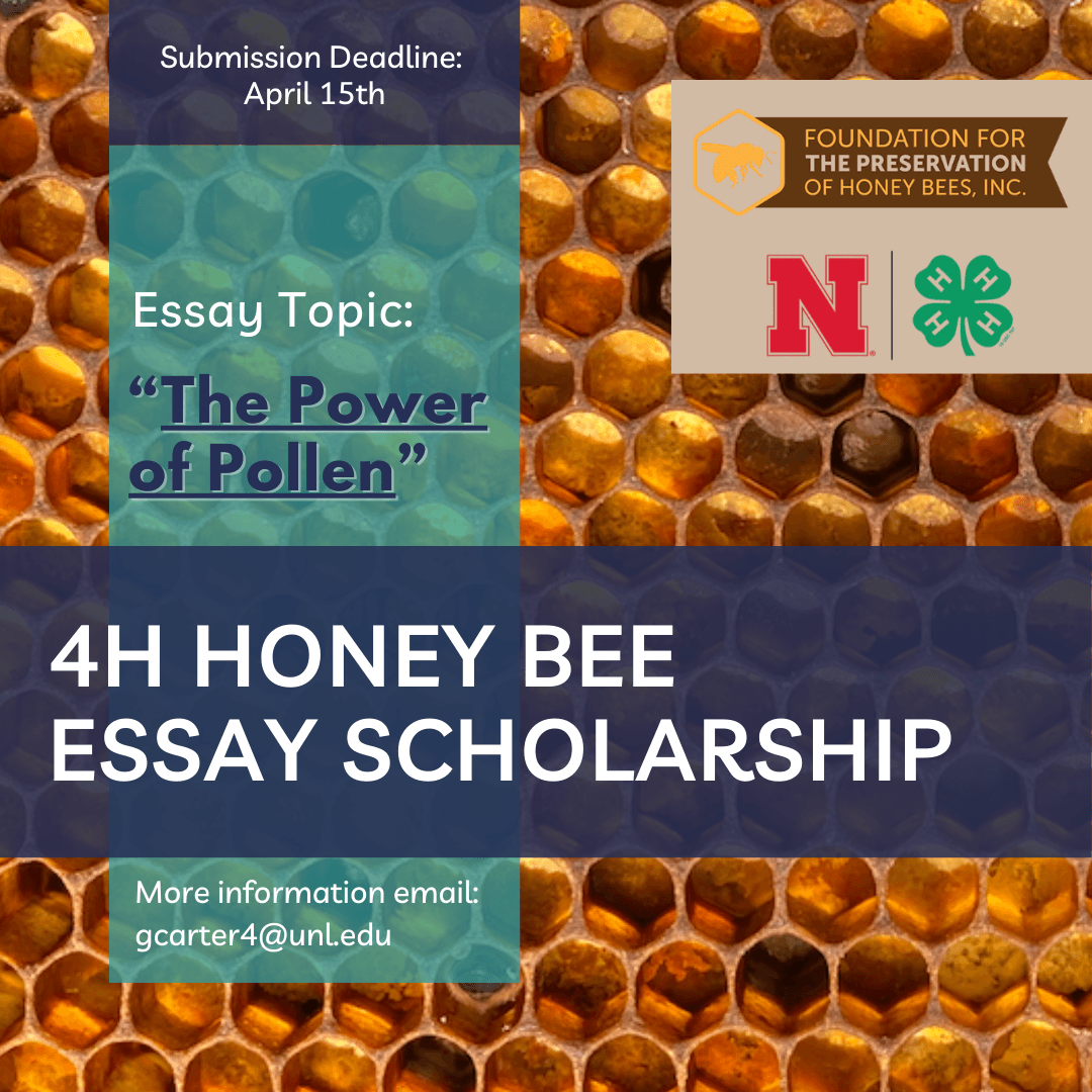 Foundation for the Preservation of Honey Bees' 4-H Honey Bee Essay Scholarship. Submission deadline April 15. Essay topic: The Power of Pollen.