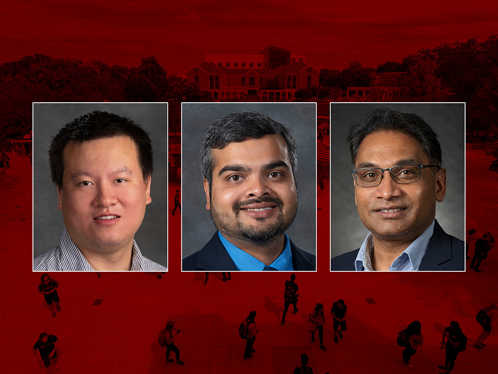 Hau Chan, Nirnimesh Ghose, and Sasitharan Balasubramaniam