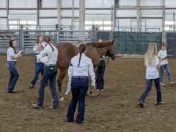 2025 Lancaster County 4-H Horse Judging Contest at the Sandhills Global Event Center