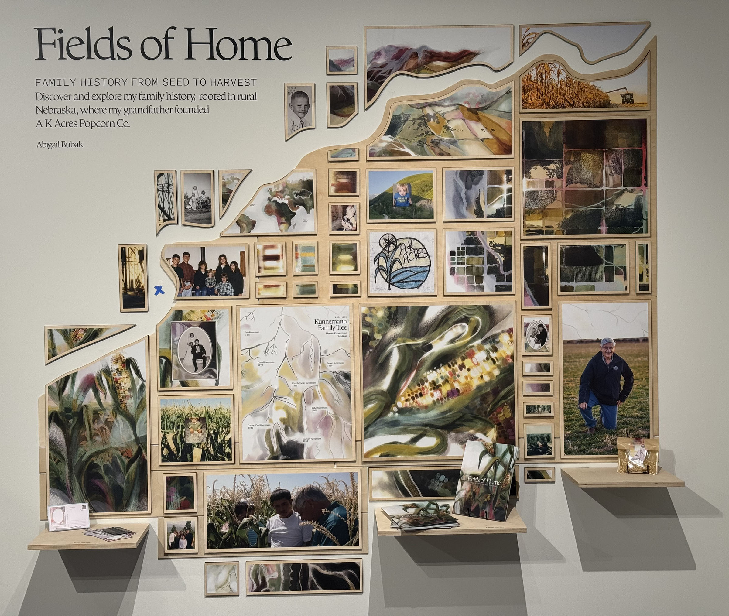 Abby Bubak, &ldquo;Fields of Home.&rdquo;