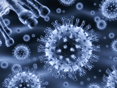virus-biology_1.jpg