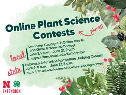Online Plant Science Contests (plural!). Local: Lancaster County 4-H Online Tree ID and Grass & Weed ID Contests, June 9, 9 a.m.&ndash;June 23, 9 a.m.; State: Nebraska 4-H Online Horticulture Judging Contest: June 9, 8 a.m.&ndash;June 23, 8 a.m. 