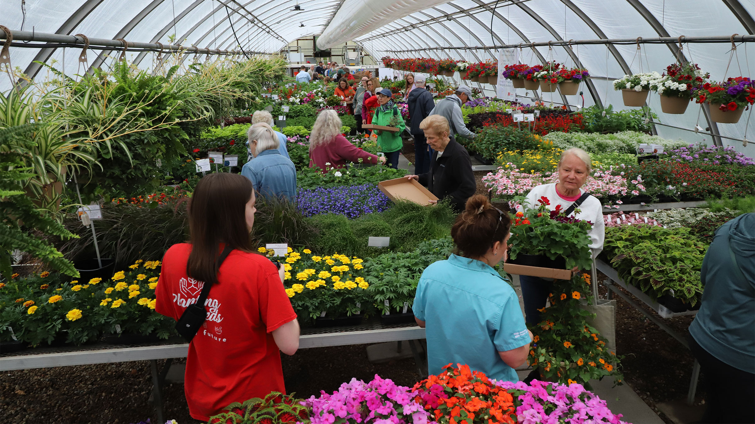 Shoppers choose from a variety of bedding plants at the 2025 Horticulture Club plant sale.