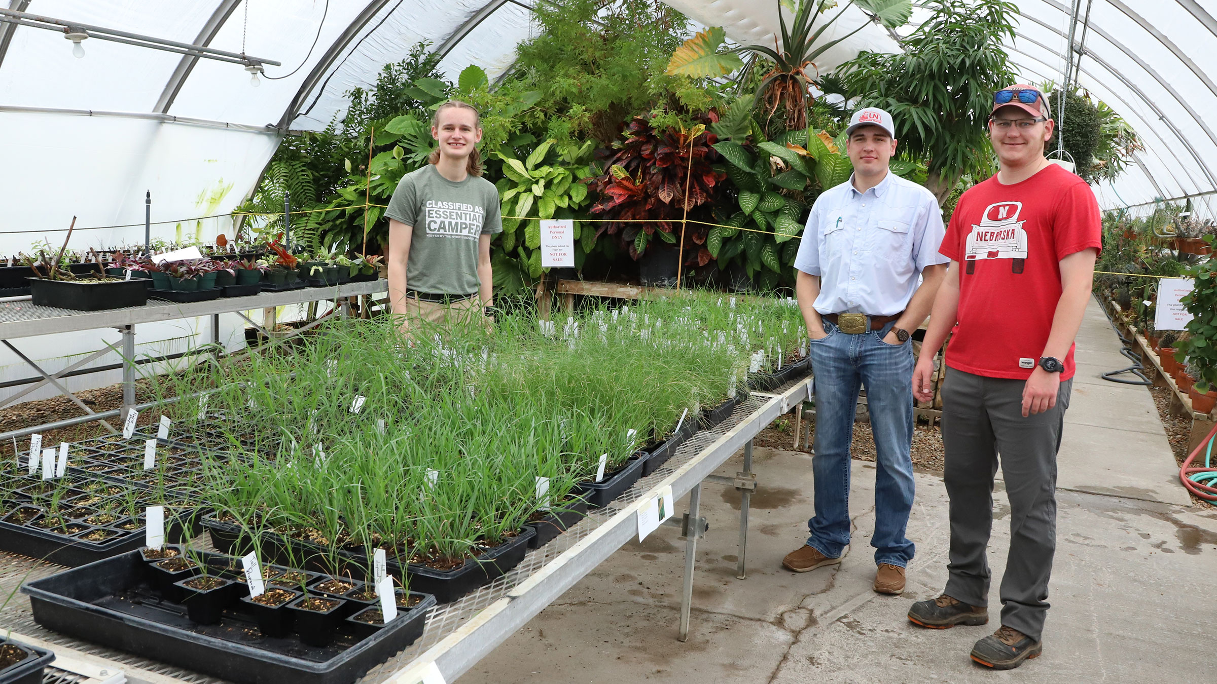 Range Management Club members sell native perennial plants at the club's 2025 spring sale.