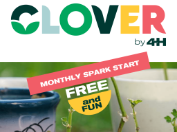 plans growing in cups on CLOVER by 4-H web site