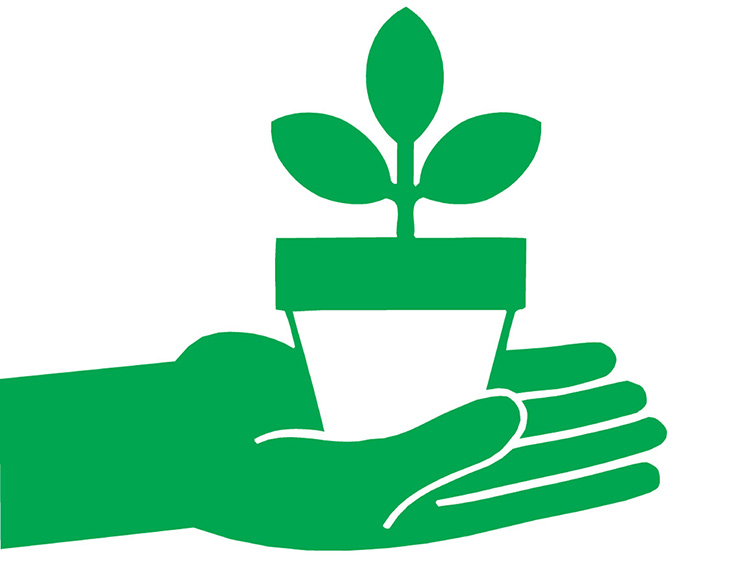Green hand holding a small pot with a plant.