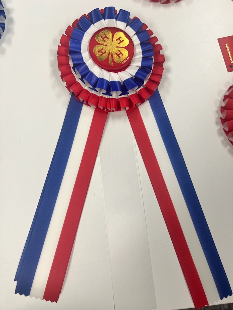 Prototype for special American's 250th theme 4-H rosettes for the 2026 Lancaster County Super Fair