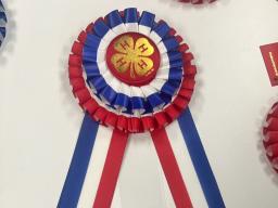 Prototype for special American's 250th theme 4-H rosettes for the 2026 Lancaster County Super Fair