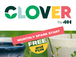 Plants growing in cups on CLOVER by 4-H web site.