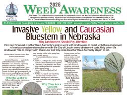 Page layout of printed 2026 Weed Awareness. Main headline reads: Invasive Yellow and Caucasian Bluestem in Nebraska