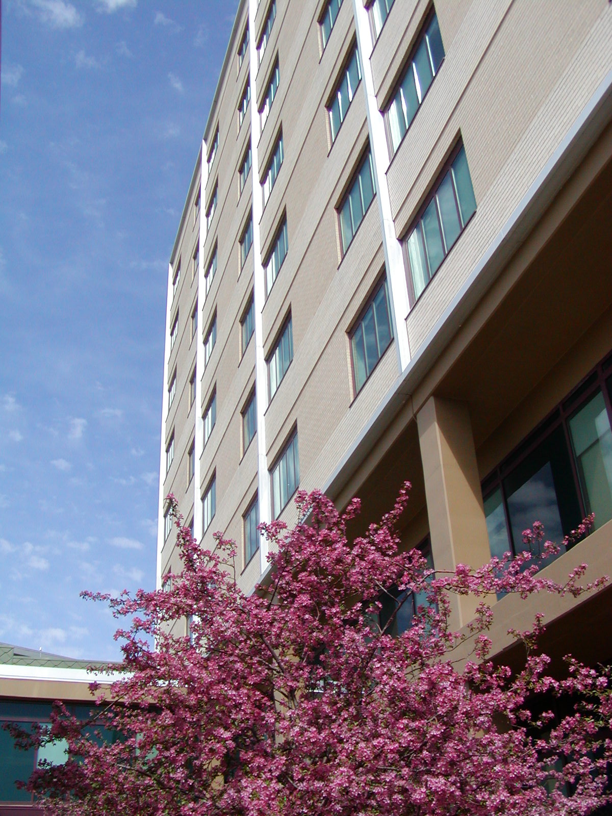 Harin Hall
