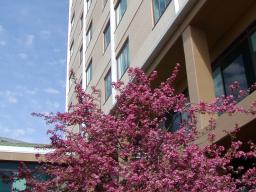 Harin Hall