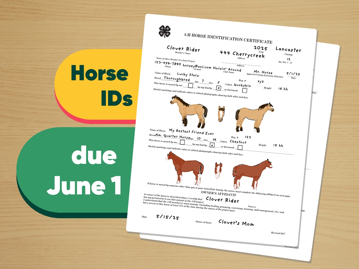 Horse IDs due June 1