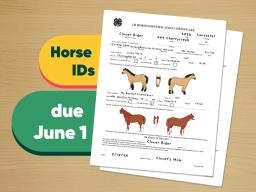 Horse IDs due June 1