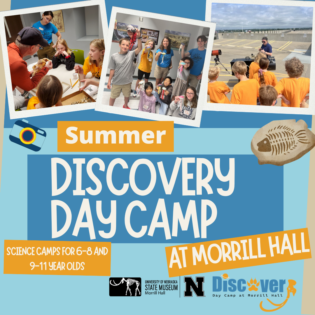 Morrill Hall is excited to provide learning opportunities for children ages 6-11 at their 2026 Discovery Day Camps.