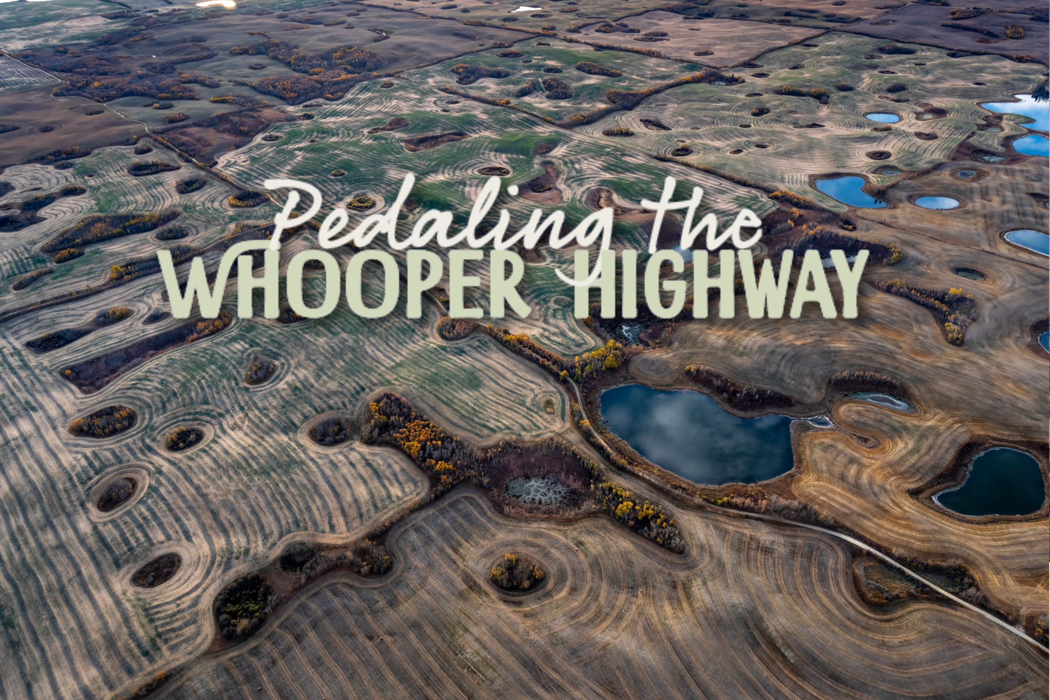 Pedaling the Whooper Highway