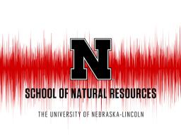 SNR Audio