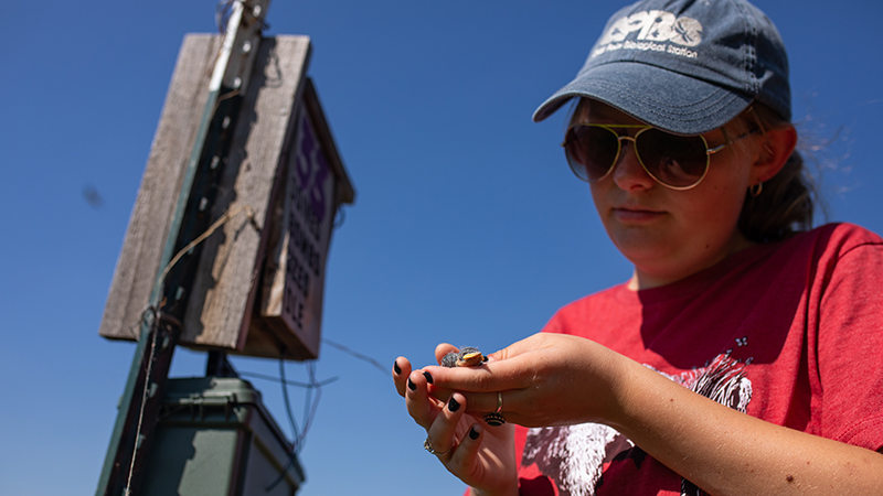 Jane Jewell, a fisheries & wildlife major, at Cedar Point Biological Station in the summer of 2025. Photo by Carlee Koehler