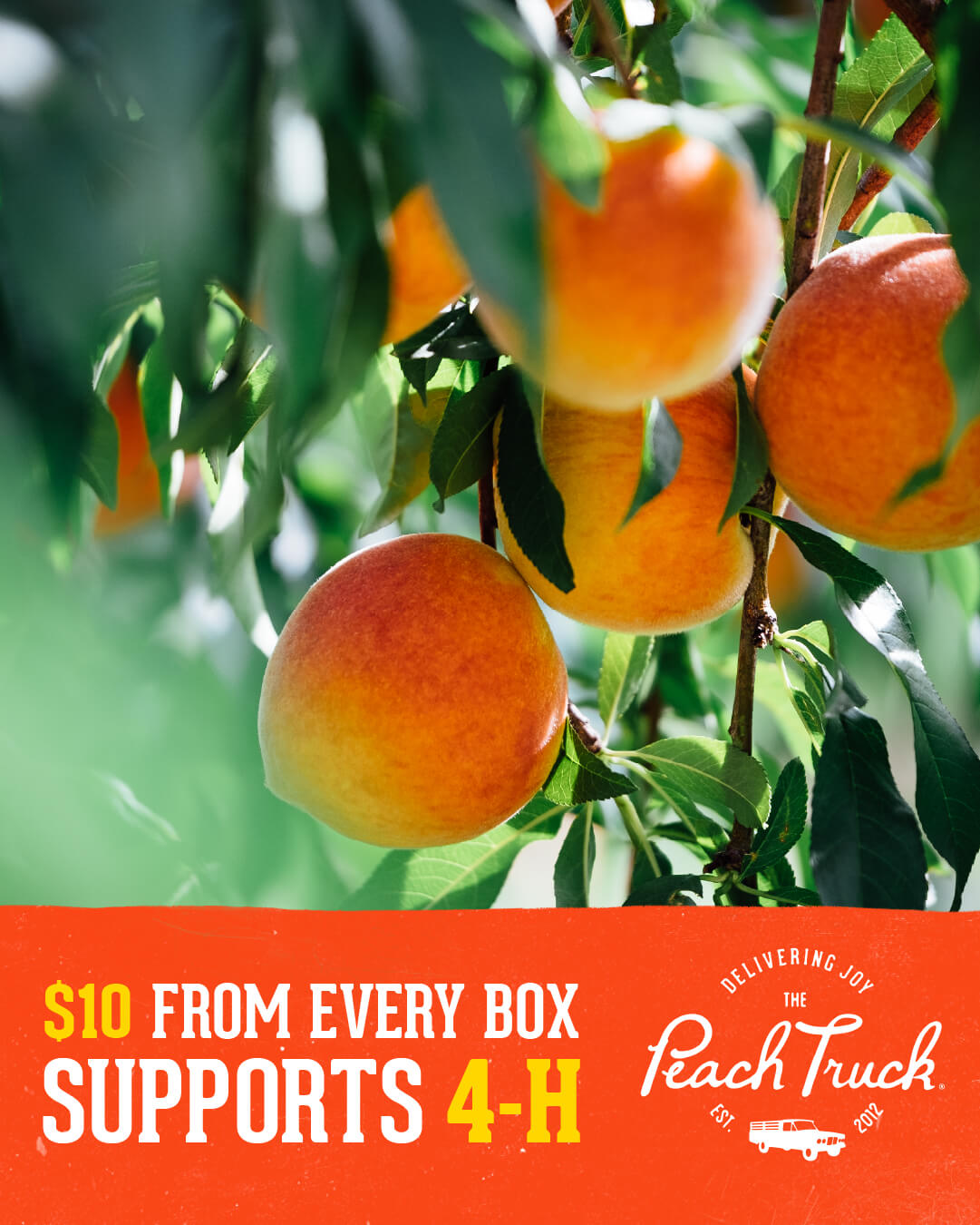 The Peach Truck