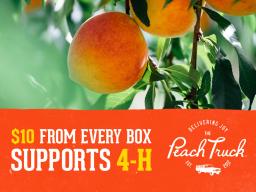 The Peach Truck