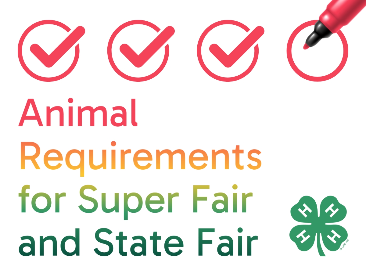 Animal requirements for Super Fair and State Fair